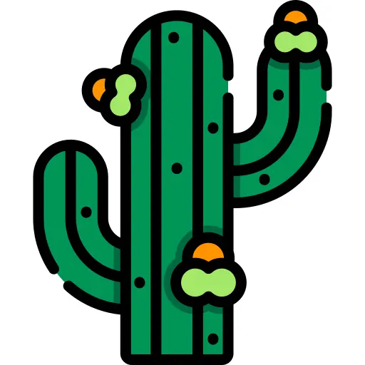 Cactus
