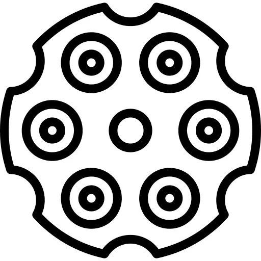 Revolver