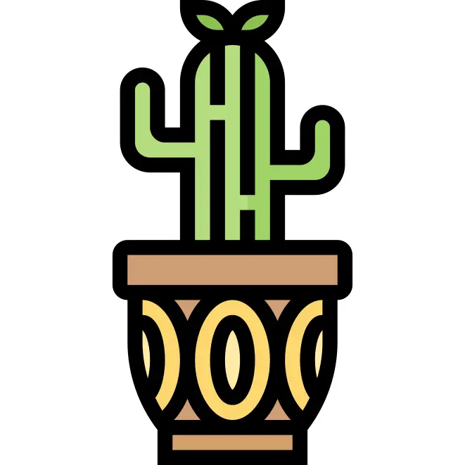 Cactus