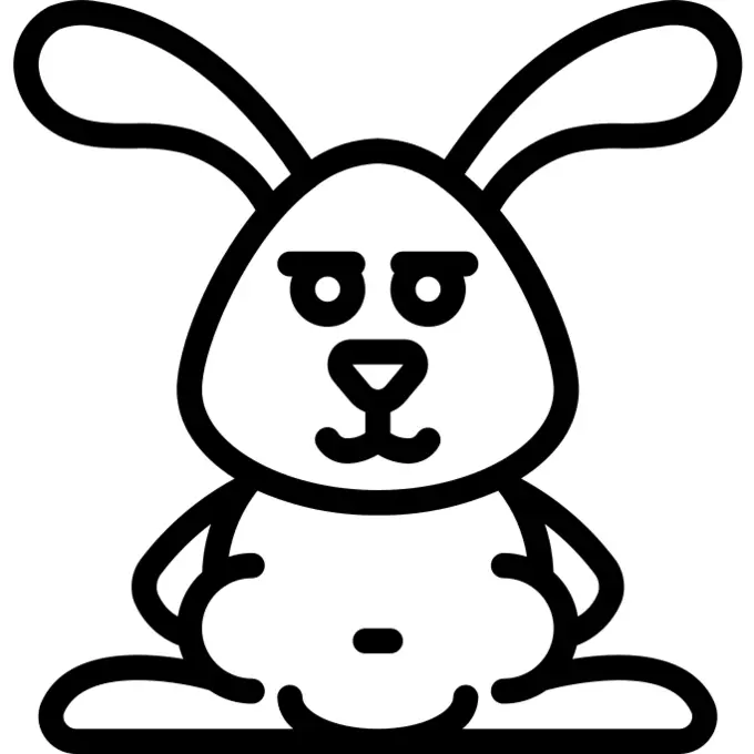 Bunny