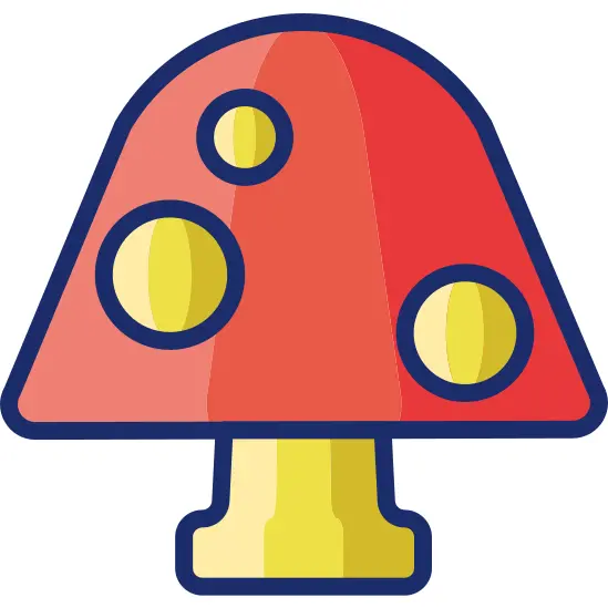Mushroom