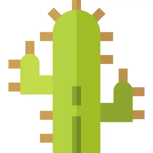Cactus