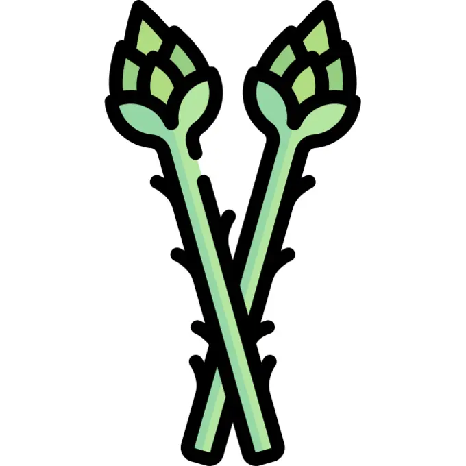 Asparagus