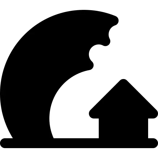 Tsunami