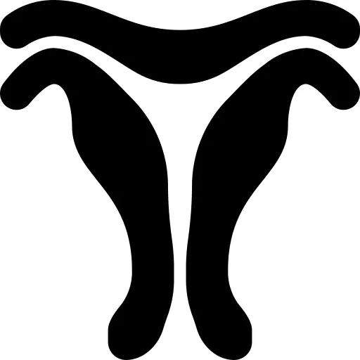 Uterus