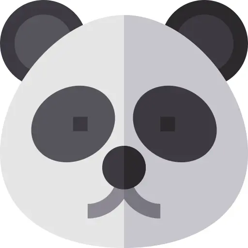 Panda bear