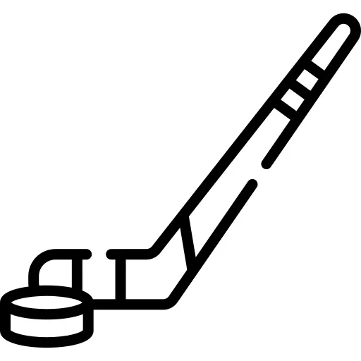 Hockey stick