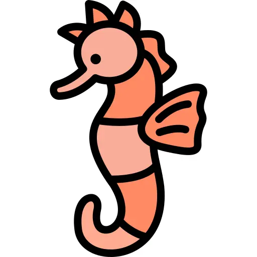 Seahorse