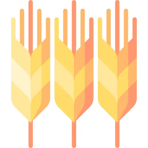 Wheat