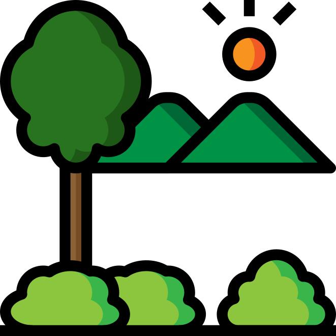 Landscape