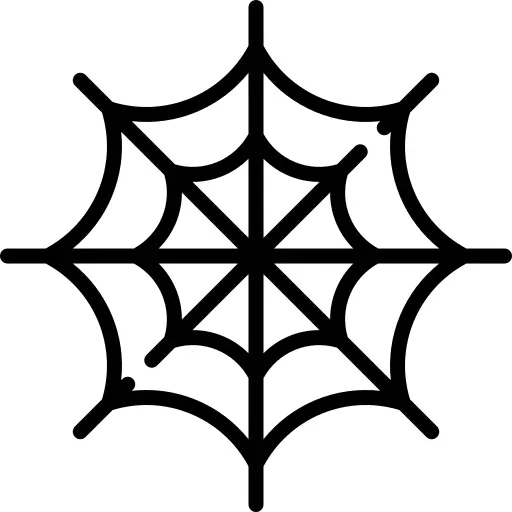 Spider web