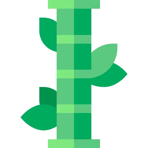 Bamboo