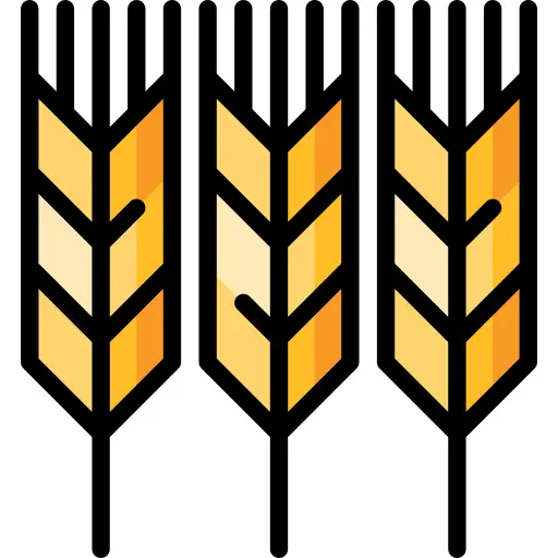 Wheat