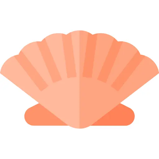 Seashell