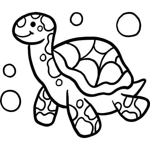 Tortoise