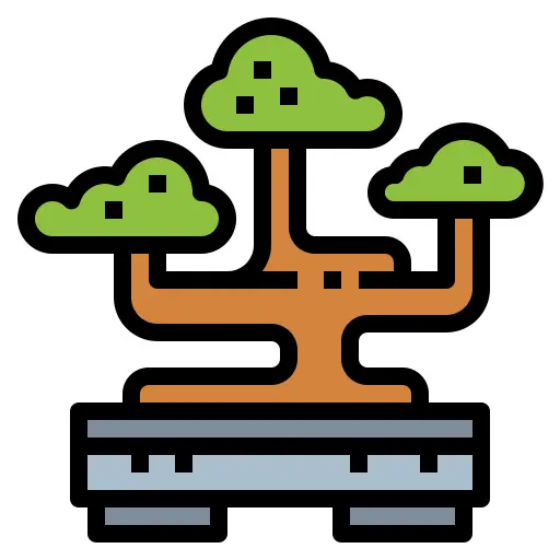 Bonsai
