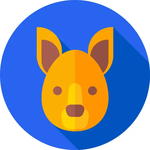 Kangaroo