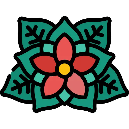 Poinsettia