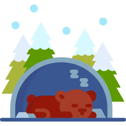 Hibernation