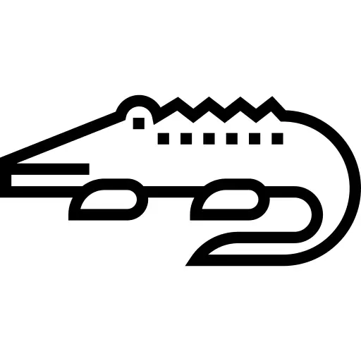 Crocodile