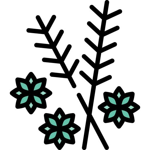 草本植物