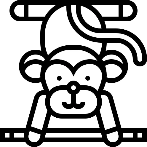 Monkey