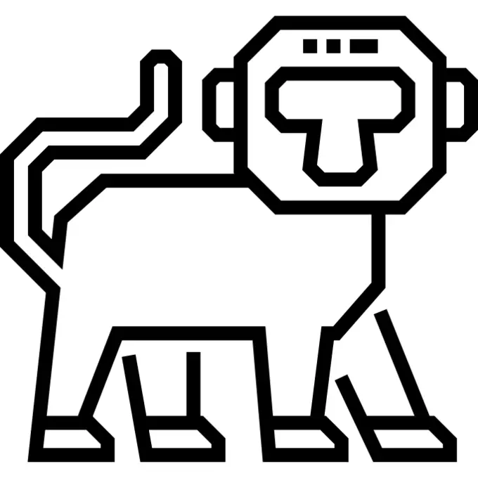 Monkey