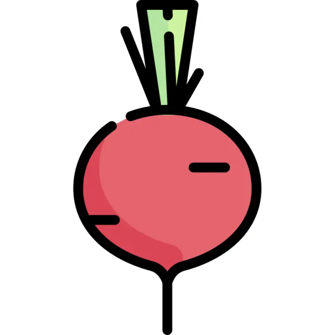 Radish