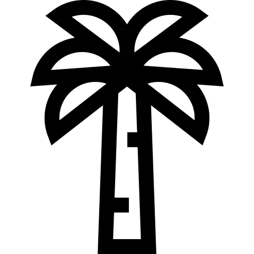 Palm tree