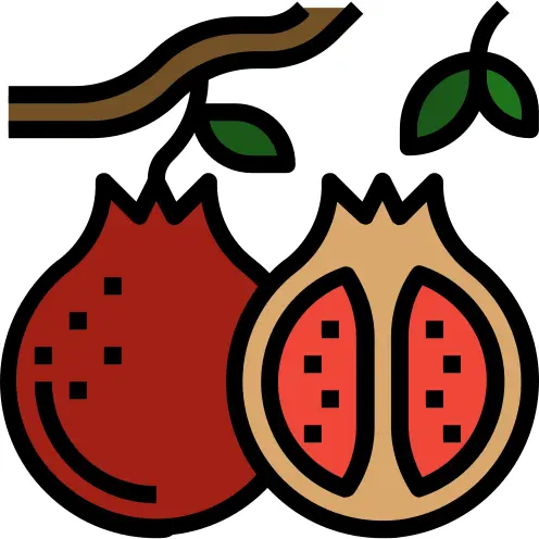 Pomegranate
