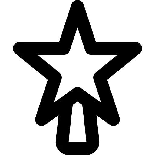 Christmas star