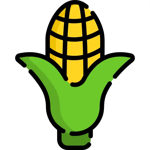 Corn