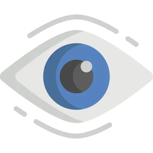 Vision