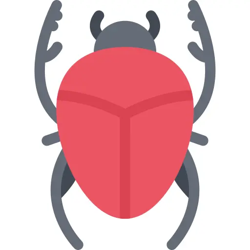 Beetle