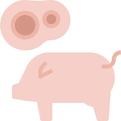 Pork