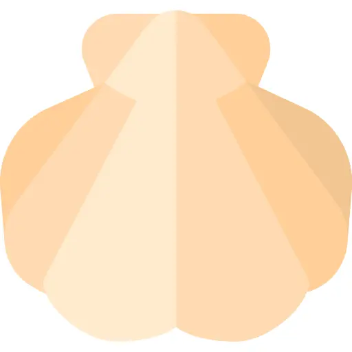 Seashell