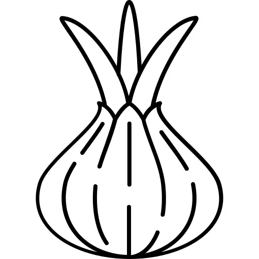 Onion