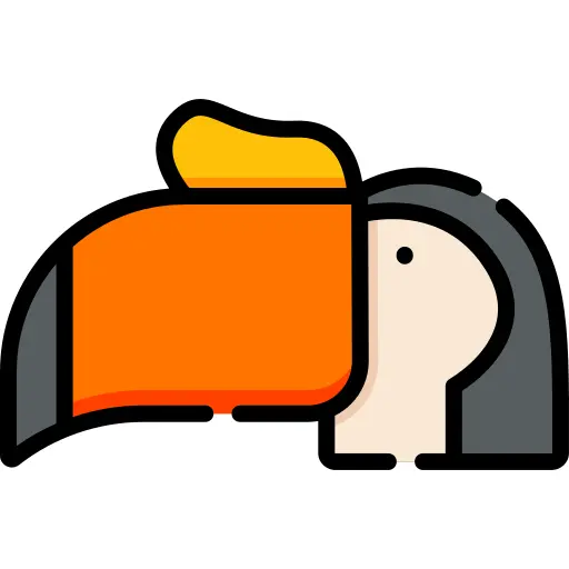 Toucan