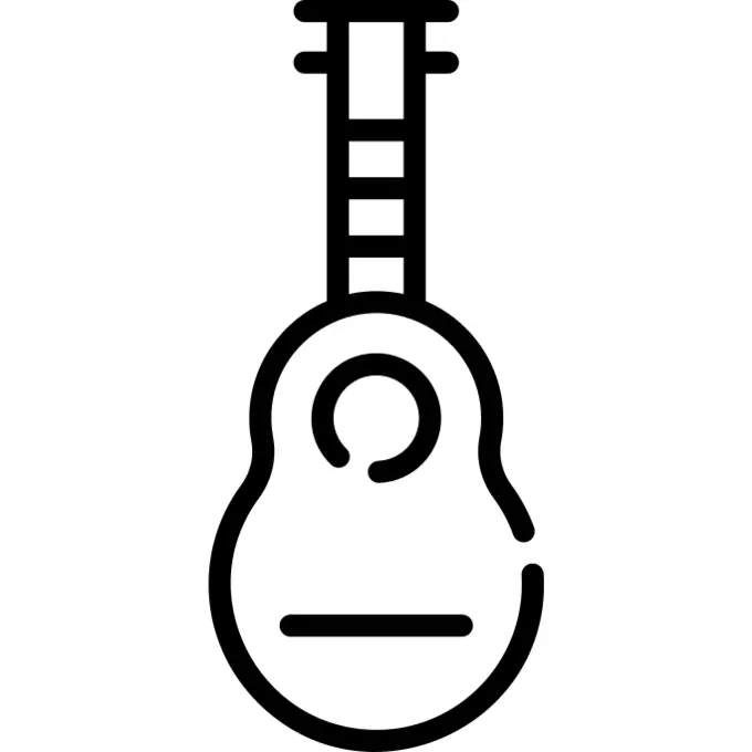 Guitar