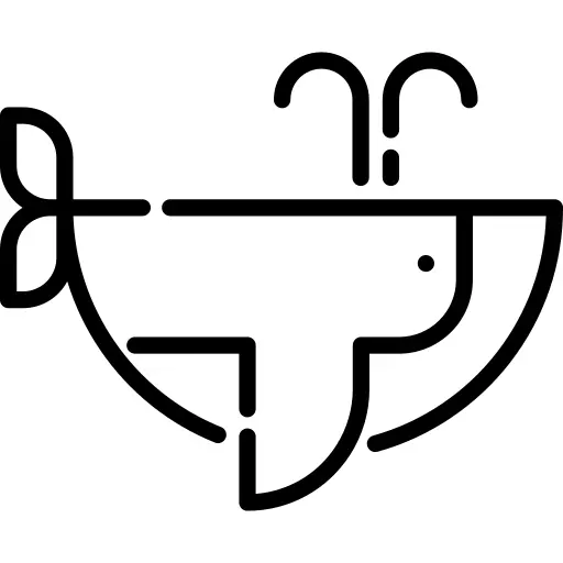 Whale