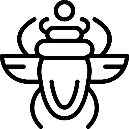 Scarab
