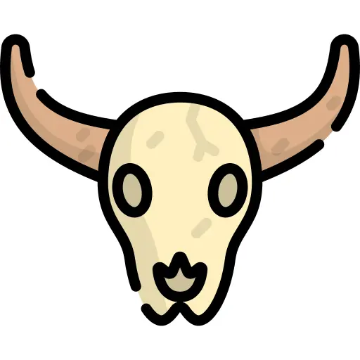 Bull skull