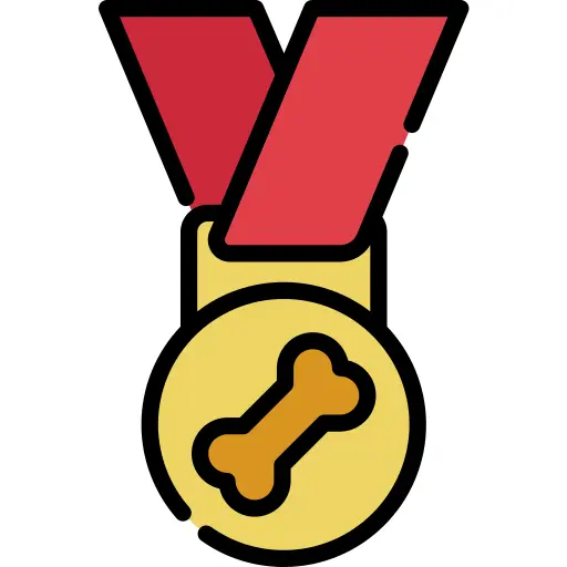 Medal