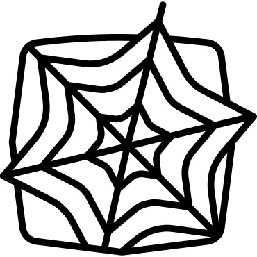 Spider web