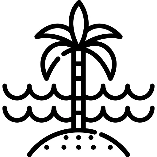 Palm tree