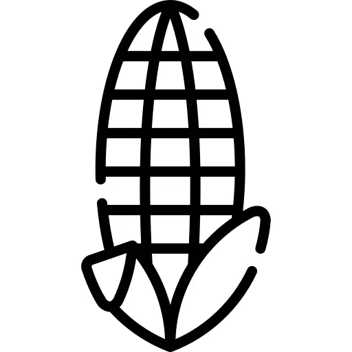 Corn