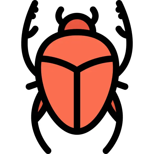 Beetle