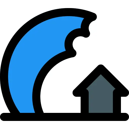 Tsunami