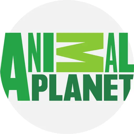Animal planet