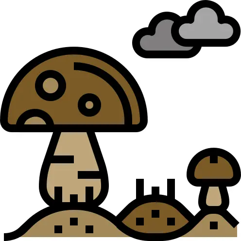 Mushroom